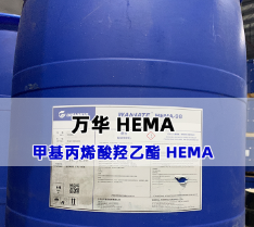  ׻ϩ HEMA 2-HEMA